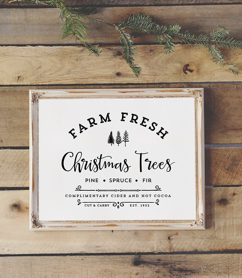 Farm Fresh Christmas Trees Digital Print MountainModernLife