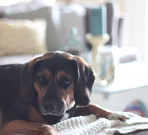 Want to get creative with your living room coffee table? Check out the use of pallets on this Beach Inspired Pallet Coffee Table! UpcycledTreasures.com