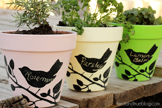 diy-chalkboard-planters
