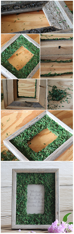 diy-moss-frame-how-to