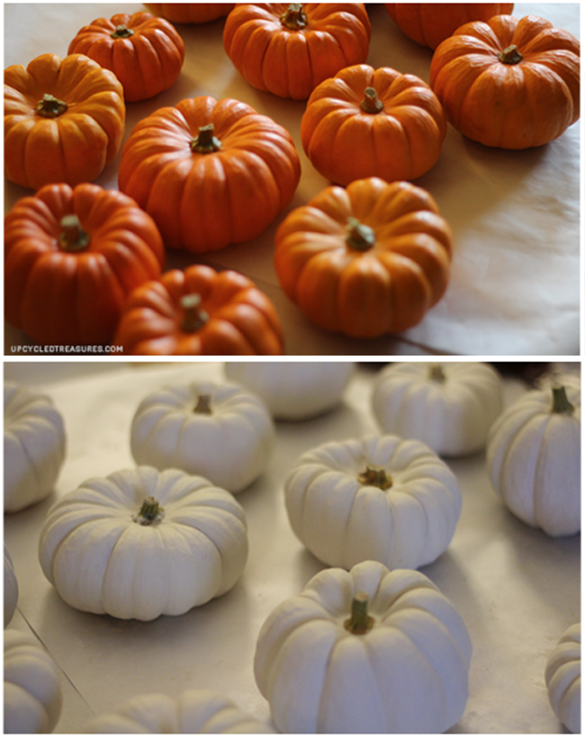 Need a little spirit added to your front door? LOVE this simple fall neutral mini pumpkin wreath which is also perfect for front door Halloween decor.