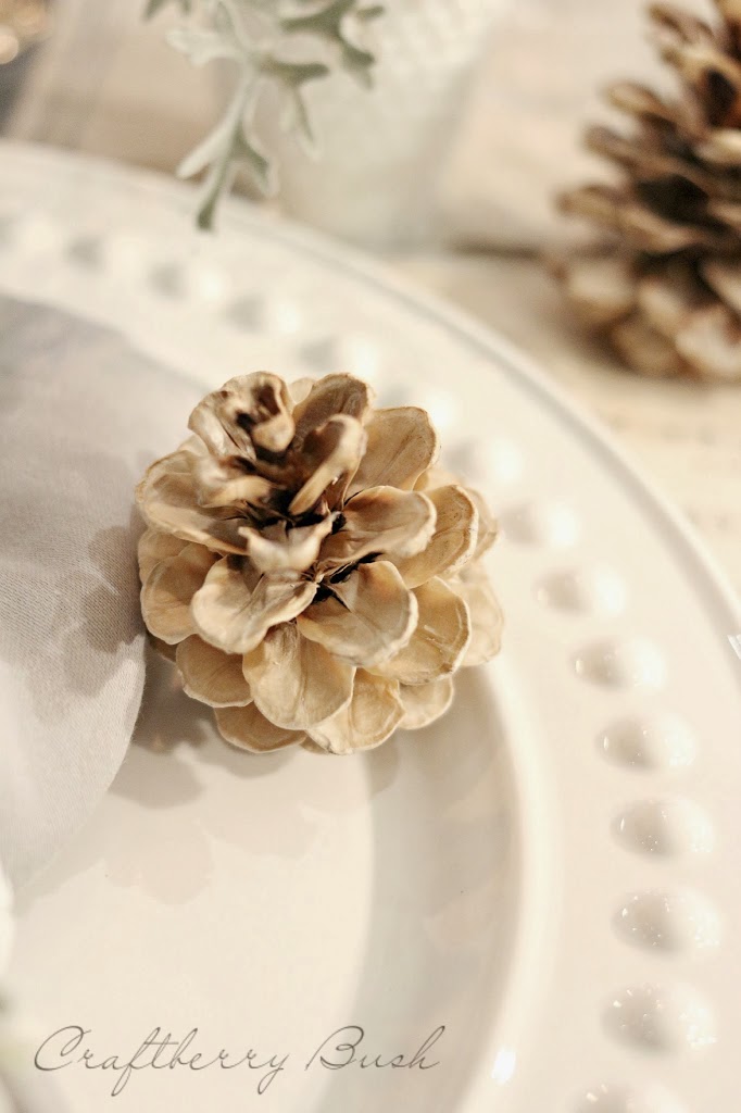 How to bleach pinecones via Craftberry Bush