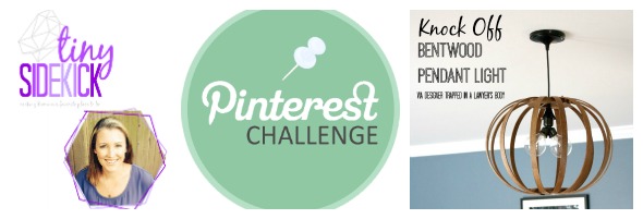 TinySidekickprojects week 10