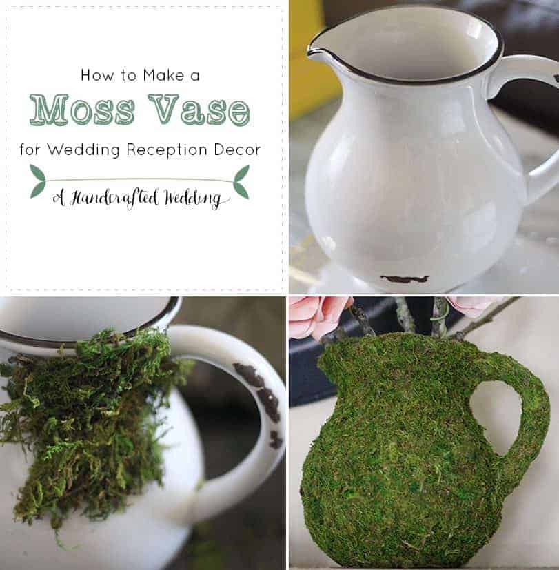 Moss Covered Vase Mountain Modern Life
