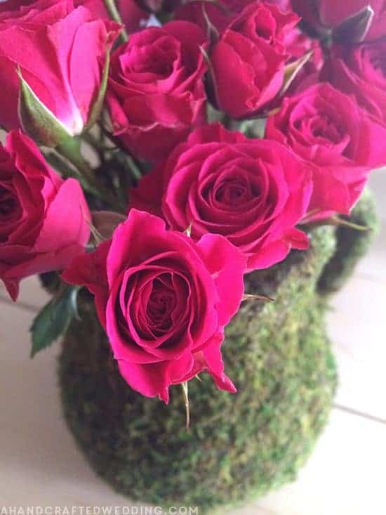 Moss Covered Vase Mountain Modern Life