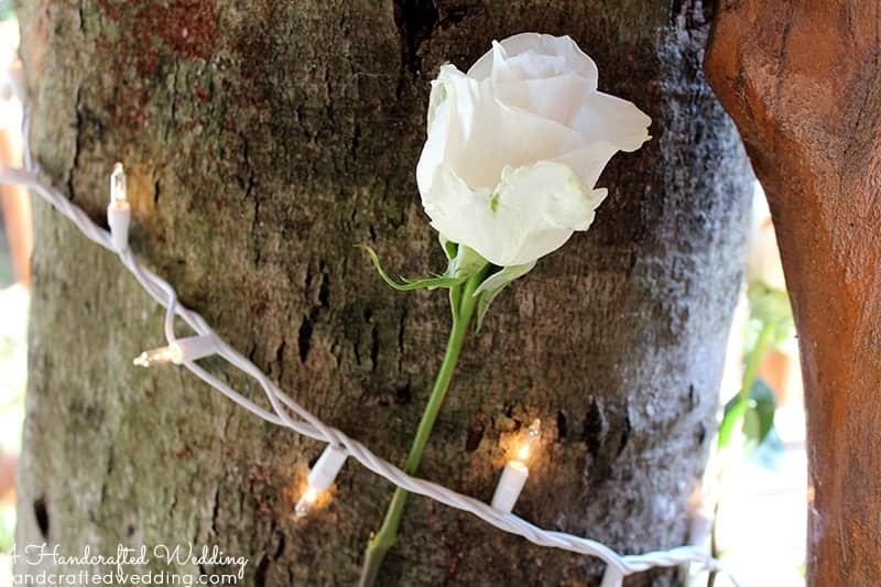 Planning an intimate wedding? Check out our handcrafted cabin wedding that took place in the North Carolina mountains. mountainmodernlife.com