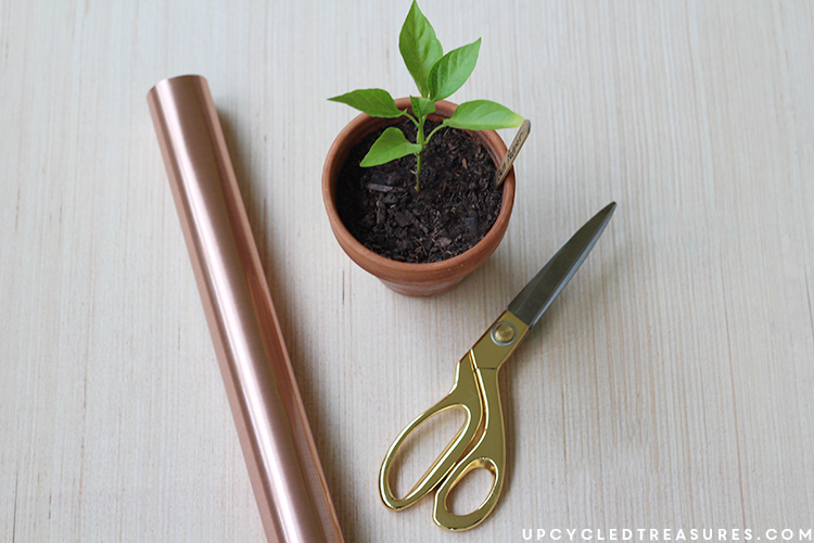 Have those Terra Cotta Pots just lying around? Come check out how to Decorate Terra Cotta Pots using Contact Paper! UpcycledTreasures.com