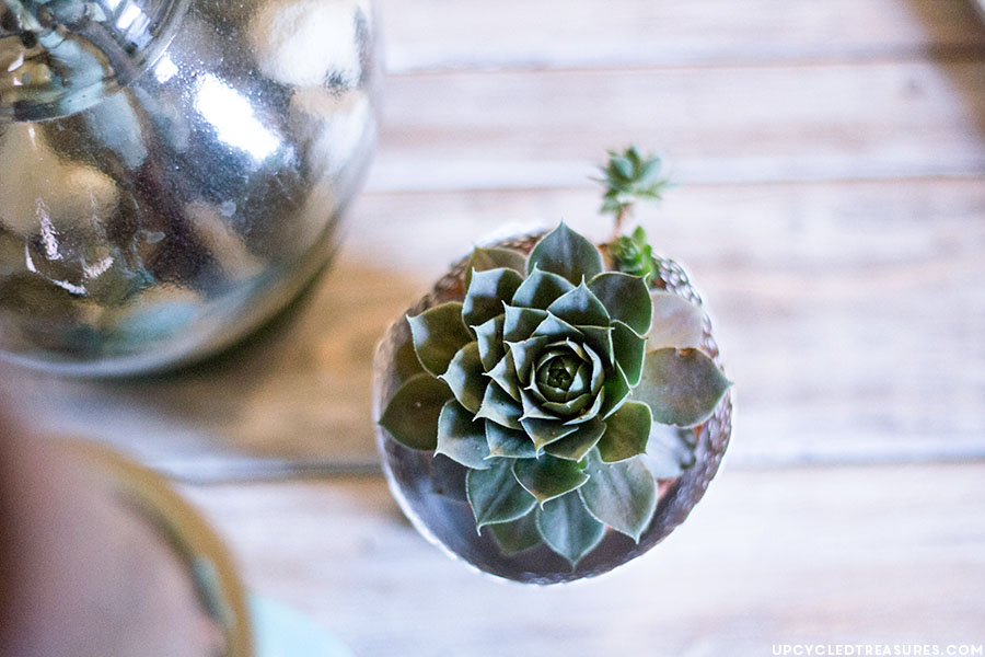 Need inspiration for your home? Check out my Rustic and Woodland-Inspired Fall Home Tour!