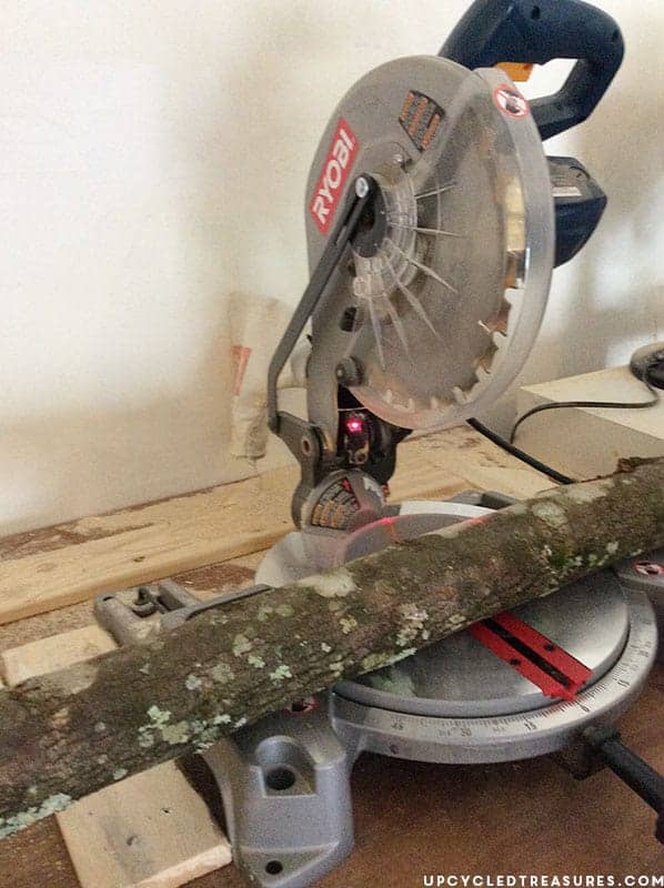 Looking for creative, affordable wall art ideas? See how easy it is to reimagine fallen branches into wood slice art! MountainModernLife.com