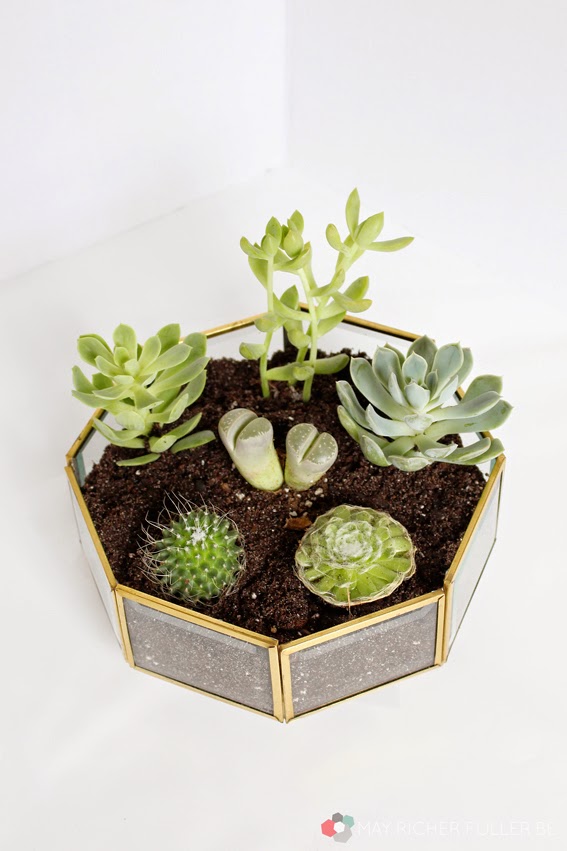 Succulent-Terrarium-Brass-Light-Fixture-8
