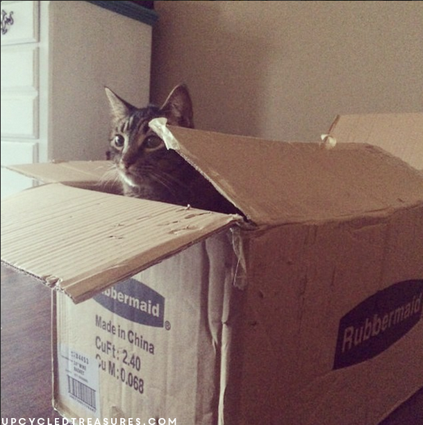 Is your garage a disaster? I know ours was, check out this great garage organization system, you will not be disappointed! upcycledtreasures.com