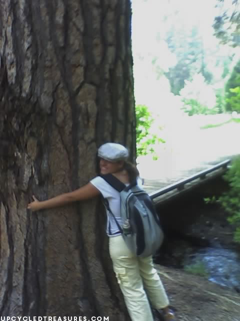 I'm a tree hugging fool | MountainModernLife.com
