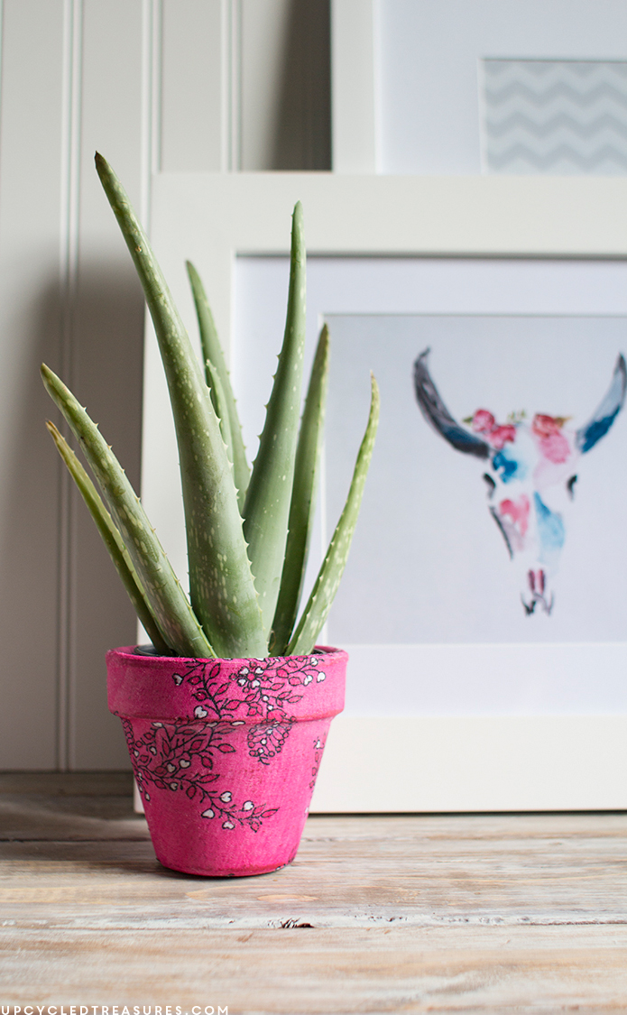 Looking for a fun and easy project? Re-imagine an old scarf into a new planter in this easy upcycled scarf planter tutorial! MountainModernLife.com
