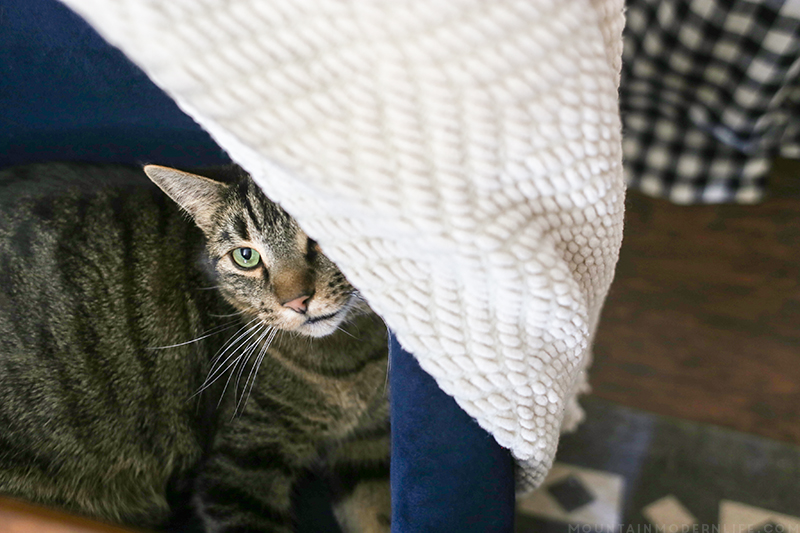 Come see how we created a cozy vibe for the holidays with our dining room Christmas decor! MountainModernLife.com