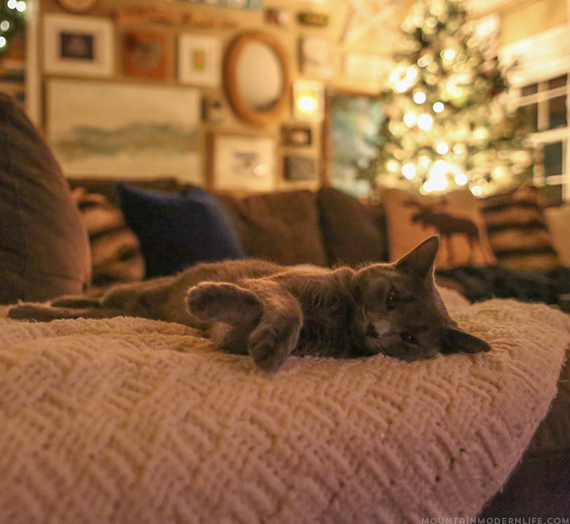 Come see how we decked out our home for the holidays with our cozy Christmas home decor! MountainModernLife.com Come see how we decked out our home for the holidays with our cozy Christmas home decor! MountainModernLife.com