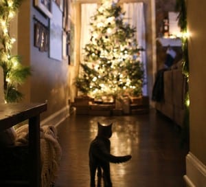 cozy cabin inspired christmas home decor mountainmodernlife.com