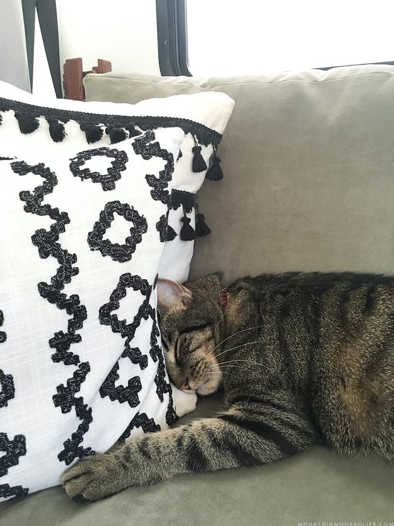 Going Nomad: 10 Lessons We've Learned after 2 Weeks on the Road in our RV | MountainModernLife.com