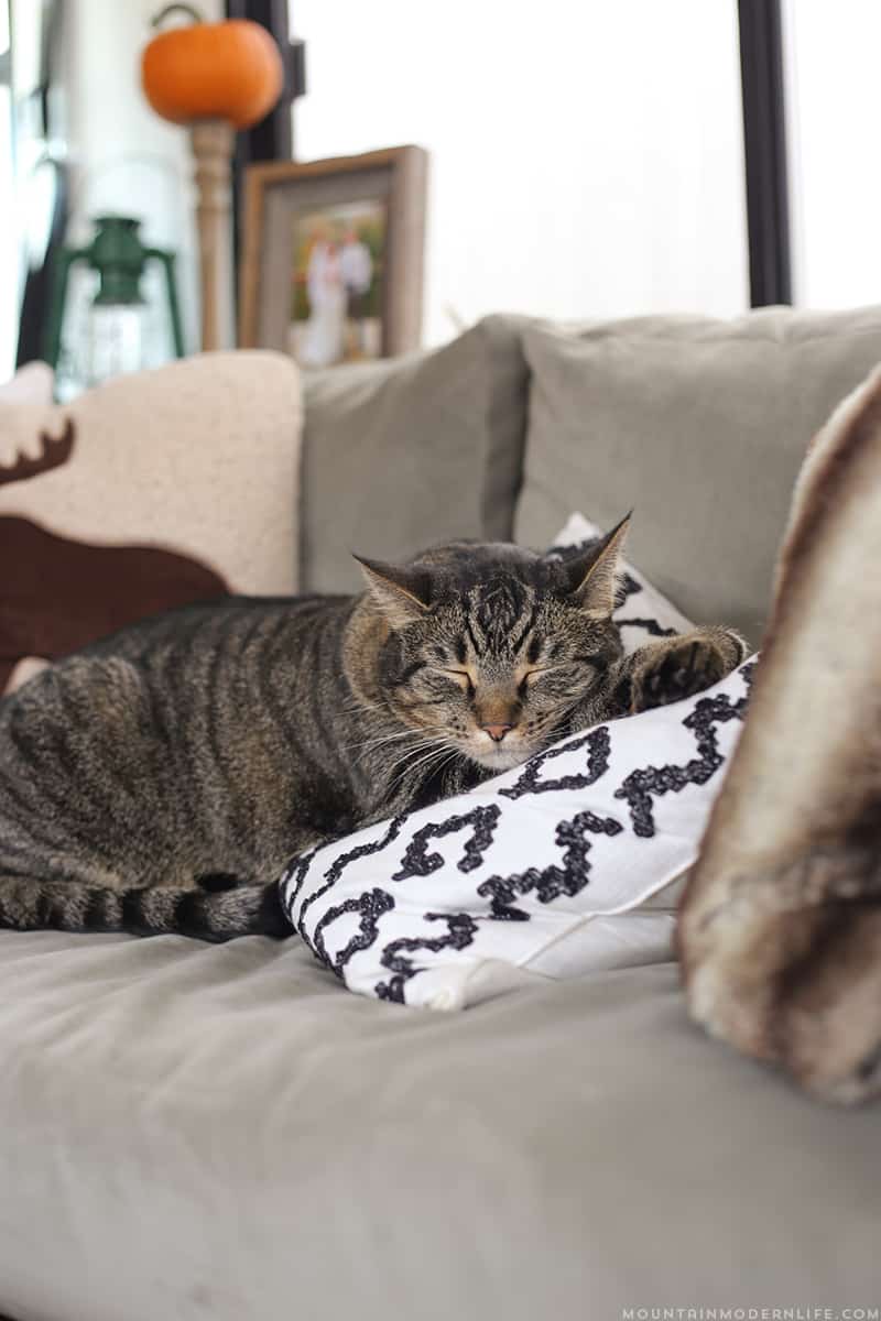 Whether you have a RV, tiny house, or tiny nook to fill, you should know that even tiny sofa's can have style and function like this small DIY sofa that was made for the inside of a RV. MountainModernLife.com