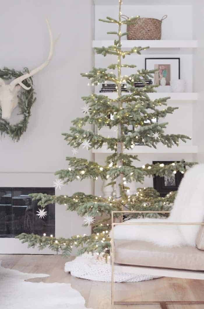 Rustic Christmas Trees that'll Inspire
