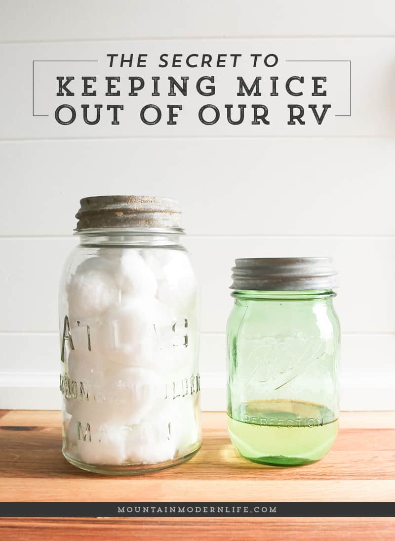 secret-to-keeping-mice-out-of-rv-fave-post-2016-mountainmodernlife-com_ How to Keep Mice out of your RV - 10 Favorite Posts of 2016 | MountainModernLife.com