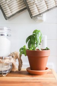 Easily install a wood planked kitchen backsplash in a RV! This is the perfect way to add rustic modern or farmhouse style to your tiny home on wheels!