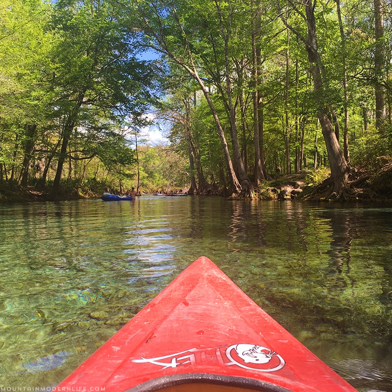 Kayaking Down Santa Fe River In Northern Florida ...