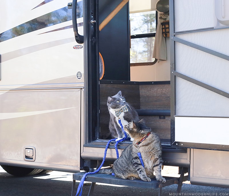 Are you looking for places to park your RV in Northern Georgia? Check out our experience at Don Carter State Park to see if it's right for you.