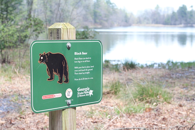 Black-bear-excercises-hiking-vogel-state-park-mountainmodernlife.com Looking for a weekend getaway or a place to day hike? Consider exploring Vogel State Park in the North Georgia Mountains. | Mountainmodernlife.com