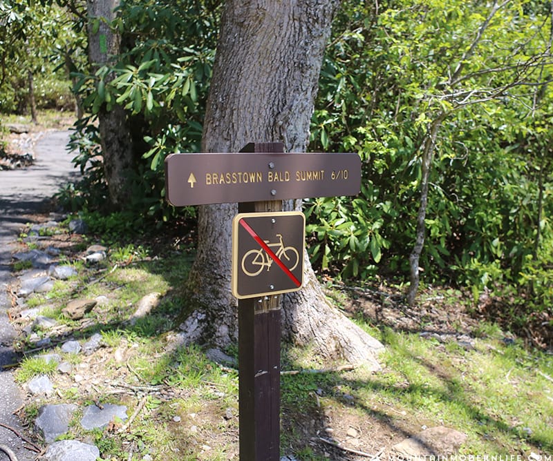 Have you visited to the highest point in Georgia? If not you should check out Brasstown Bald, the views will take your breath away. | MountainModernLife.com