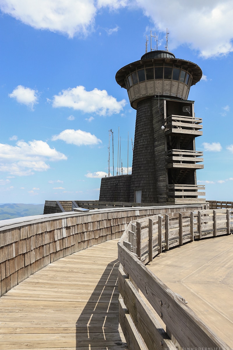 Exploring Visiting Brasstown Bald