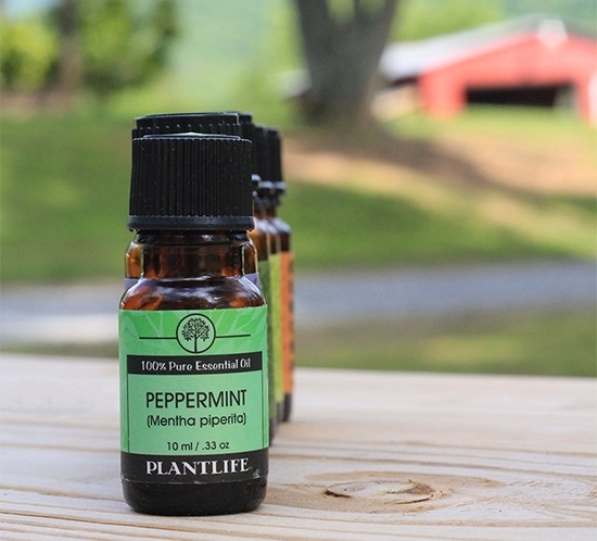 Looking to incorporate natural remedies into your lifestyle? Here are 6 of my favorite single essential oils that I frequently use. | MountainModernLife.com