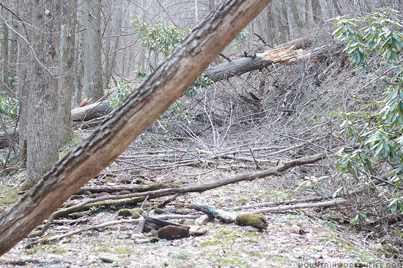 trees-down-on-bear-hair-gap-trail-vogel-state-park-mountainmodernlife.com Looking for a weekend getaway or a place to day hike? Consider exploring Vogel State Park in the North Georgia Mountains. | Mountainmodernlife.com