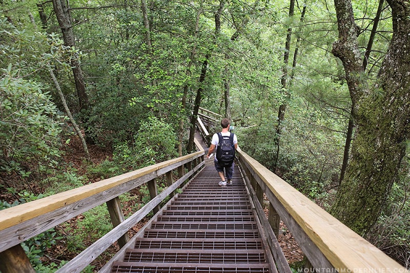 Looking to get out and explore North Georgia? Look no further than Tallulah Gorge State Park, it's one of the largest gorges on the East Coast! MountainModernLife.com
