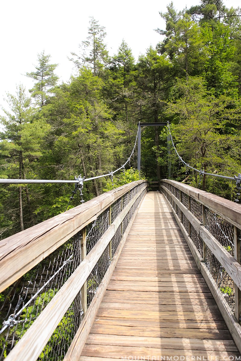 Looking to get out and explore North Georgia? Look no further than Tallulah Gorge State Park, it's one of the largest gorges on the East Coast! MountainModernLife.com