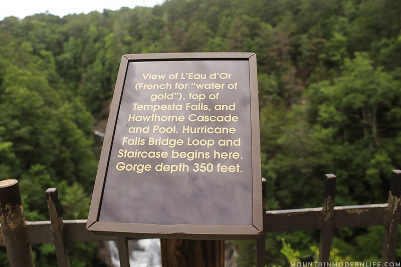 Looking to get out and explore North Georgia? Look no further than Tallulah Gorge State Park, it's one of the largest gorges on the East Coast! MountainModernLife.com