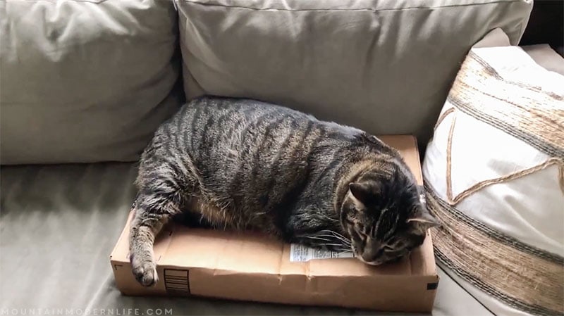 Heard of Amazon Locker? It's a great way to get packages delivered while you travel in your RV! MountainModernLife.com