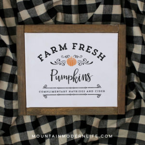 See how easy it is to make this Farm Fresh Pumpkins Sign from a Printable using this image transfer method! Perfect for decorating your own home or to give away as gifts. MountainModernLife.com