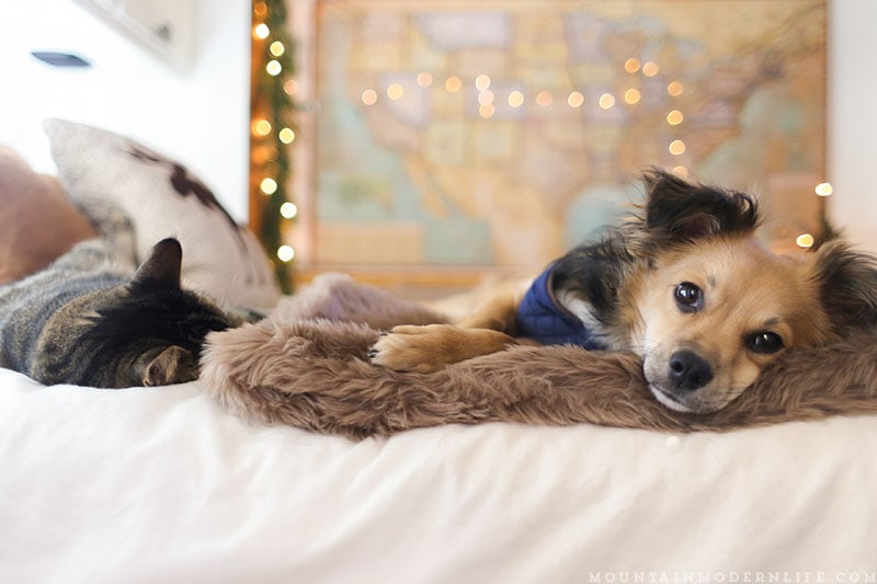 Cozy Cabin-Inspired Christmas in the Camper | MountainModernLife.com