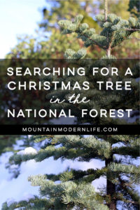 Come see why we've decided to make Christmas tree hunting in the National Forest our new holiday tradition! MountainModernLife.com
