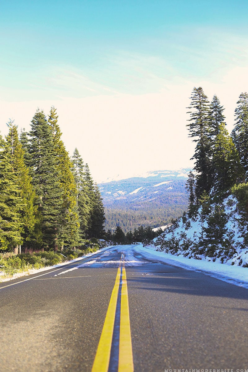 Come see why we've decided to make Christmas tree hunting in the National Forest our new holiday tradition! MountainModernLife.com