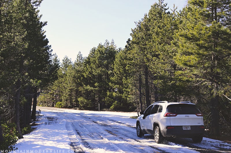 Come see why we've decided to make Christmas tree hunting in the National Forest our new holiday tradition! MountainModernLife.com