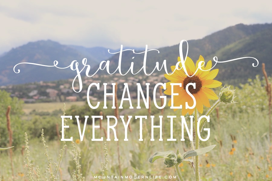 Looking for ways to create more peace in your life? Here are 5 tips to help guide you along the way. MountainModernLife.com