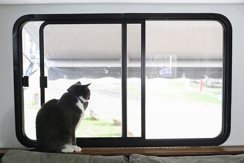 Come see how easy it is to frame RV windows to create a cozier vibe inside your tiny home on wheels! MountainModernLife.com
