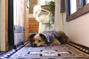 Check out these 10 Southwestern Rug Runners that will add cabin vibes to your home or RV + Enter the GIVEAWAY to win your own rug! MountainModernLife.com