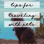 Tips for Traveling with Pets + Printable RV Pet Checklist! MountainModernLife.com