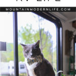 How to Help Pets Adjust to RV Life | MountainModernLife.com
