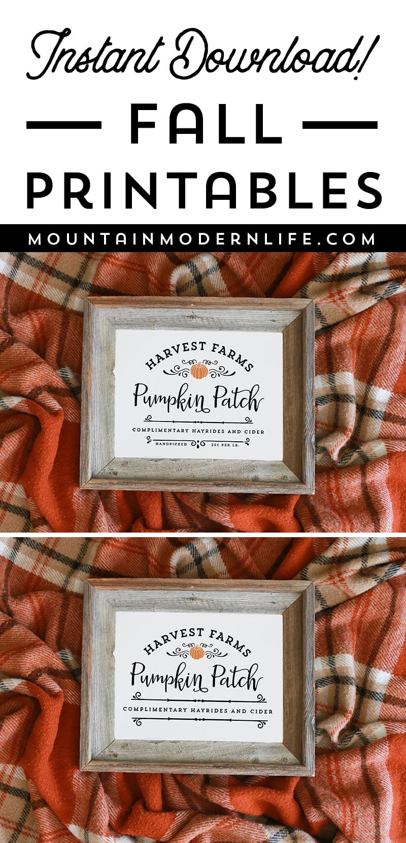 Instantly download this Harvest Farms Pumpkin Patch Printable, to spruce up your walls during the holidays!