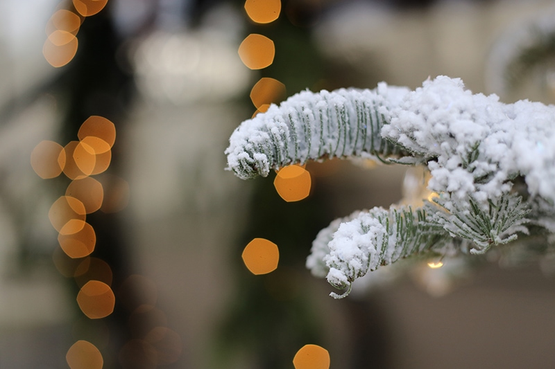 Flocked Christmas Tree