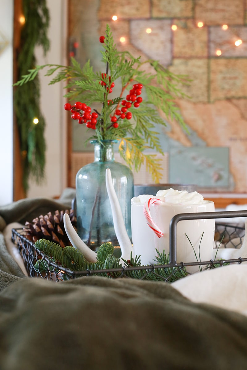 See how these tiny home dwellers decorated for the holidays in this cozy RV Christmas Tour #mycamperchristmas #RVtour