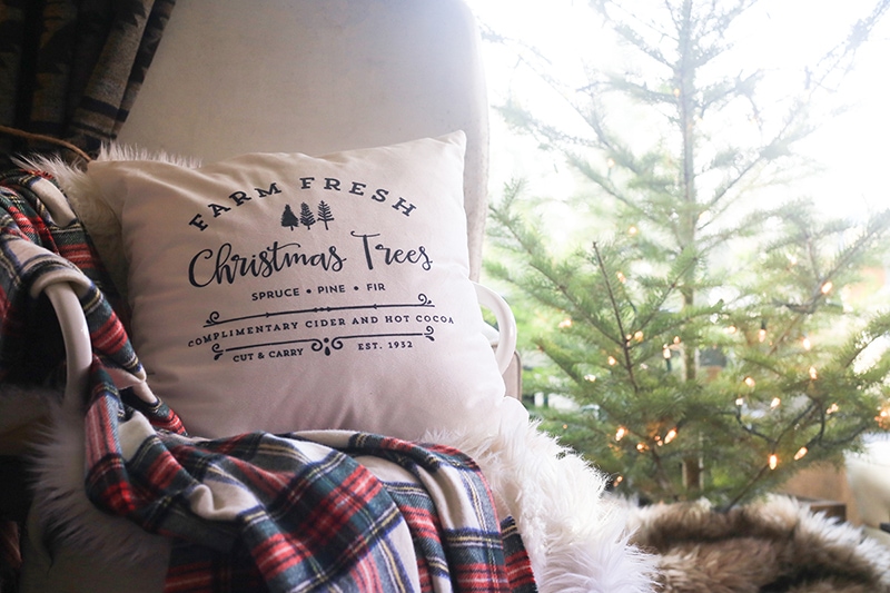 See how these tiny home dwellers decorated for the holidays in this cozy RV Christmas Tour #mycamperchristmas #RVtour